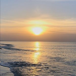 Meet your Posher, Larry